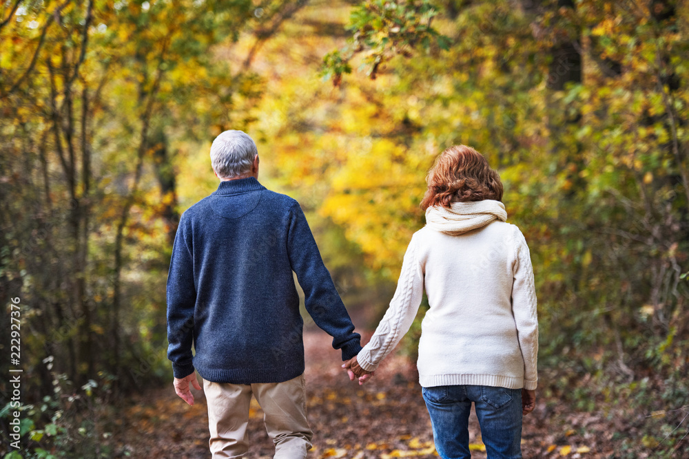 A rear view of a senior couple walking in an autumn nature. A rear view of a senior couple walking in an autumn nature.