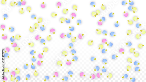 Vector Realistic Colorful Petals Falling on Transparent Background.  Spring Romantic Flowers Illustration. Flying Petals. Sakura Spa Design. Blossom Confetti. Design Elements for Wedding Decoration.