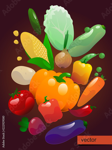 Fototapeta Naklejka Na Ścianę i Meble -  Bright poster with vegetables vector