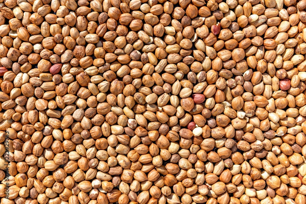 Many brown hazelnuts format filling as a background