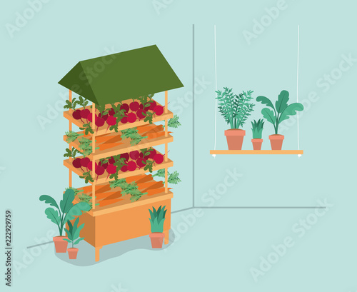 plants vivarium in kiosk