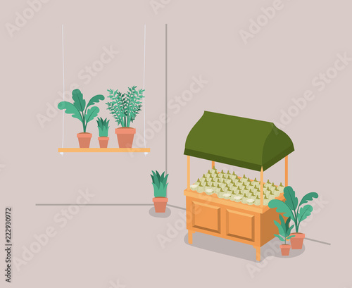 plants vivarium in kiosk
