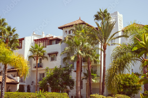 White houses with palm trees