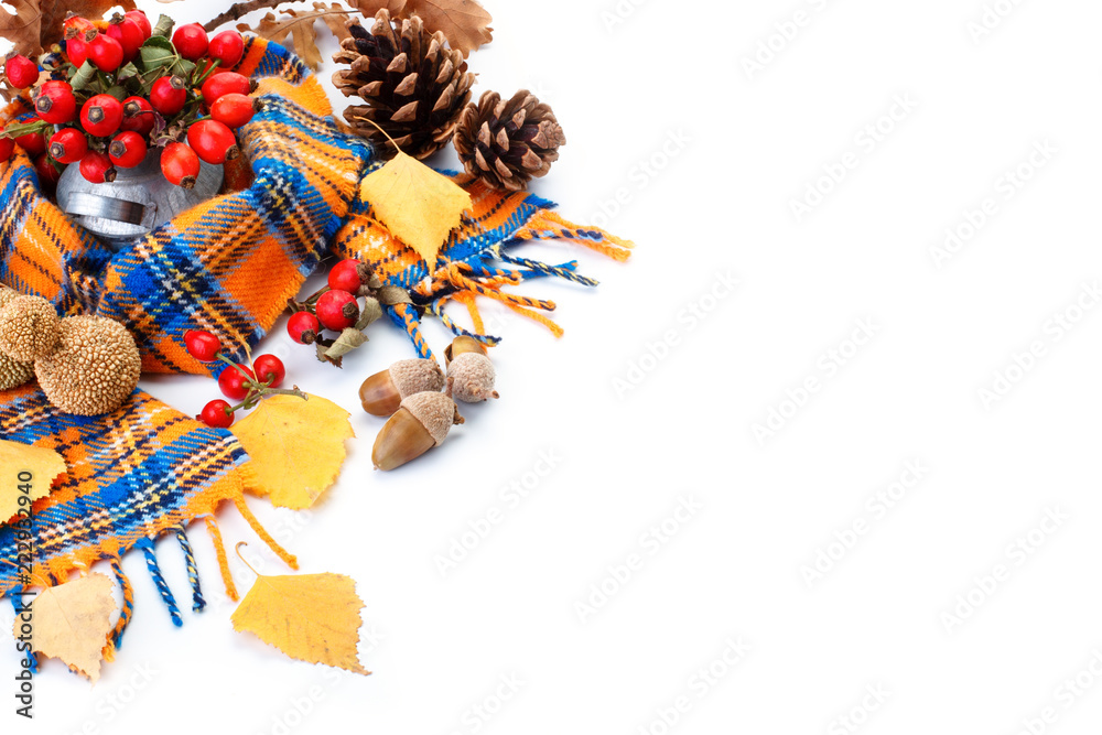 Happy Thanksgiving Day background. White background decorated with Pumpkins, Maize, fruits and autumn leaves. Autumn festival. Harvest festival. The view from the top. Horizontal.