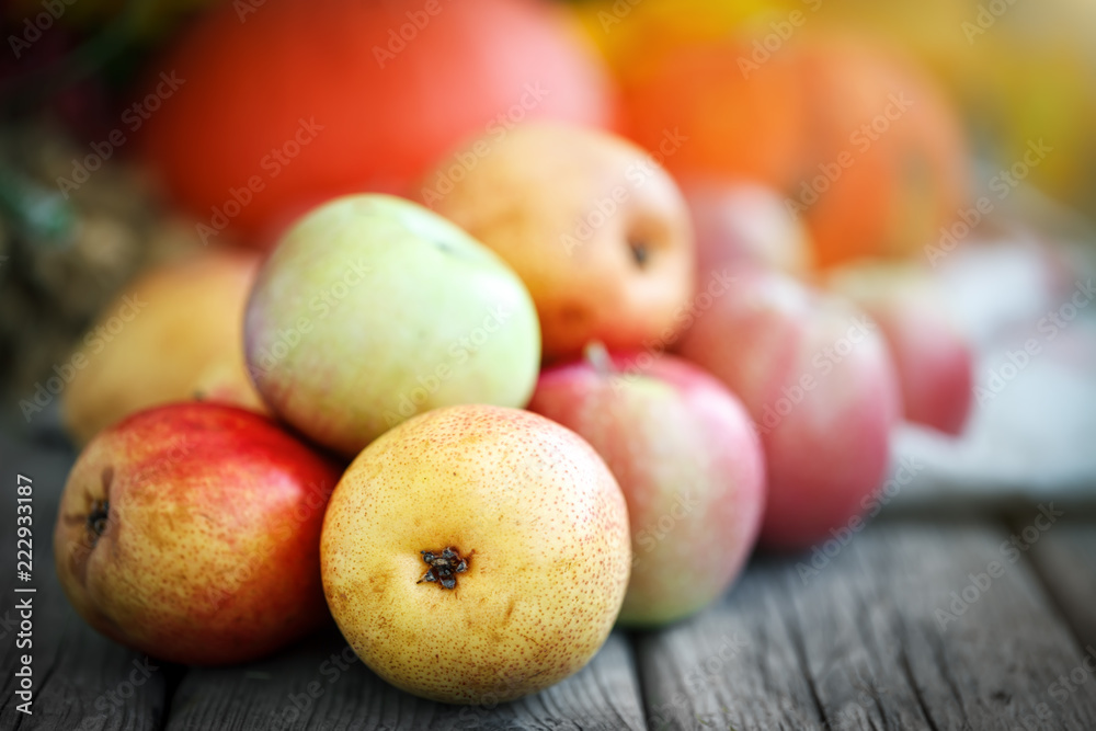 Fresh harvest of apples. Happy Thanksgiving Day. Harvest festival. Autumn background. Fresh harvest of apples. Happy Thanksgiving Day. Harvest festival. Autumn background.