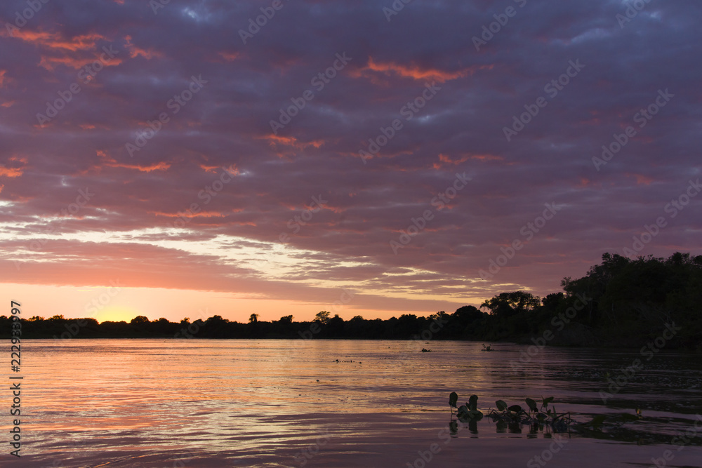 Sunrise over River in the Brasil Pantanal Sunrise over River in the Brasil Pantanal