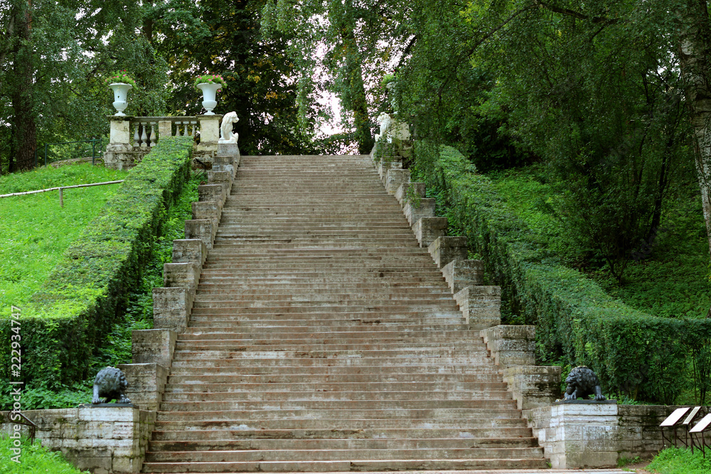 Stairs in the park