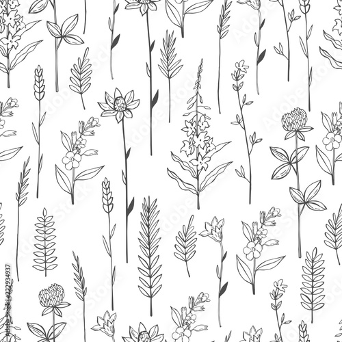 Vector seamless pattern with hand drawn wild herbs and flowers.