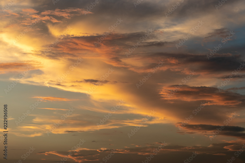 黄金色の雲 黄金色の雲