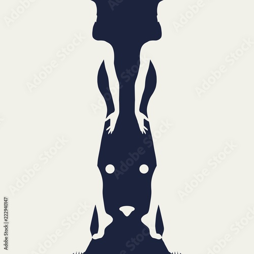 Optical illusion. Two beautiful women make silhouette of rabbit head photo