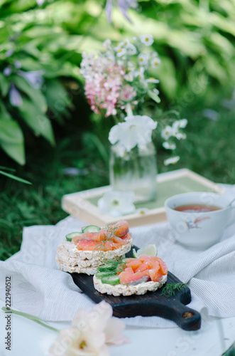 breakfast in nature with sandwiches with rice cake, red fish and cucumbers