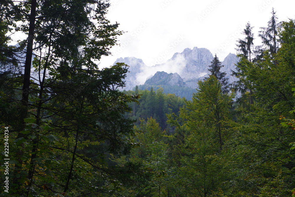 Mountain and Forest in Slovenia