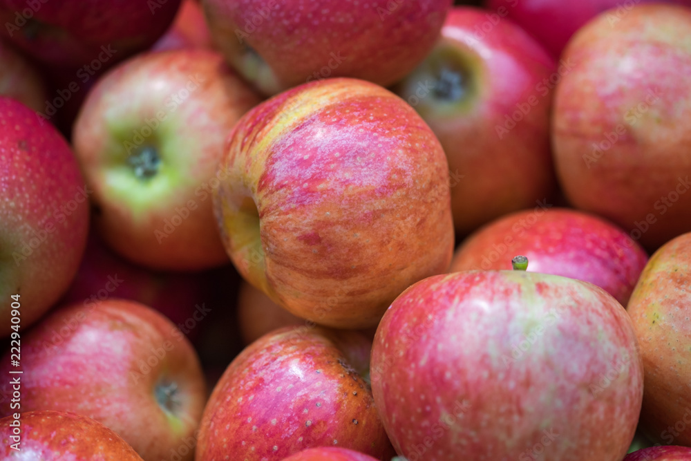 New harvest green red apples for sale at city market New harvest green red apples for sale at city market