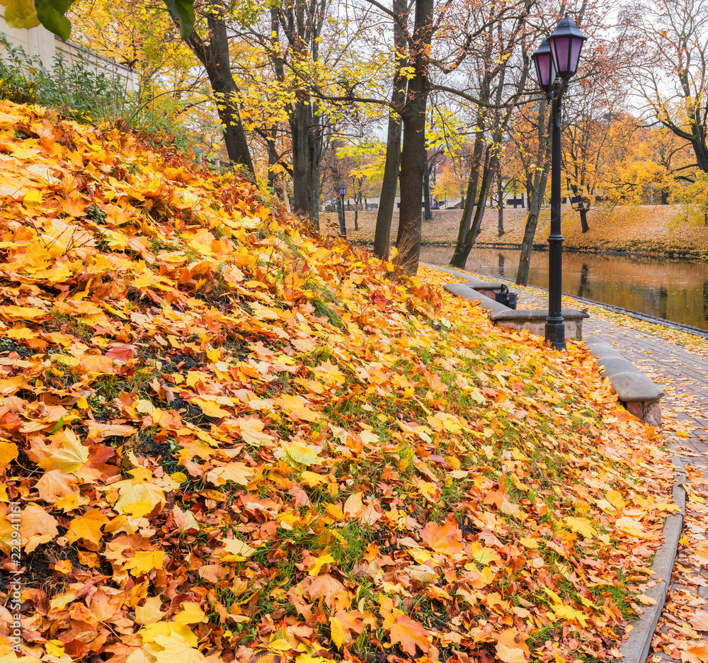 Autumn in city park, Europe