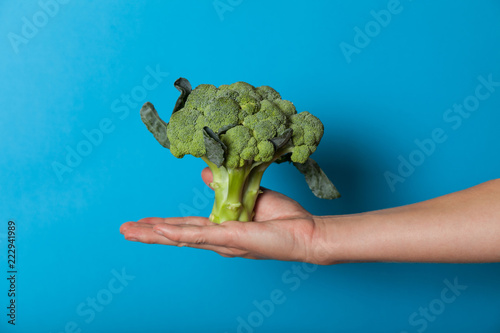 Vegetarian lifestyle concept, hands holding vegetable for diet.