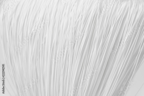 Foto Filament membrane in water filter isolated on white background.