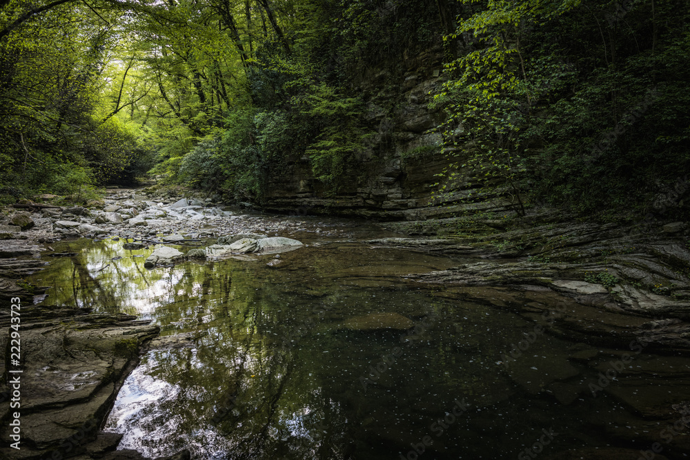 mountain river in the forest