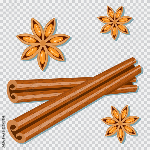 Cinnamon sticks and anise star vector cartoon spice set isolated on a transparent background.