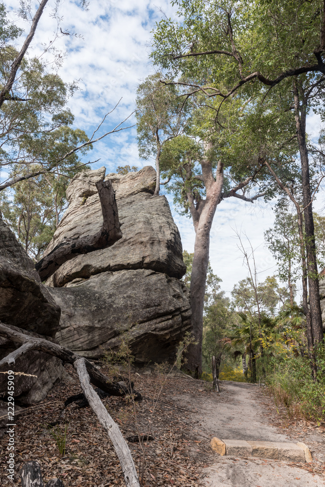 A hiking trail in Blackdown Tableland National Park passing a large rock in the forest. Queensland, Australia.