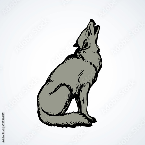 Wolf. Vector drawing