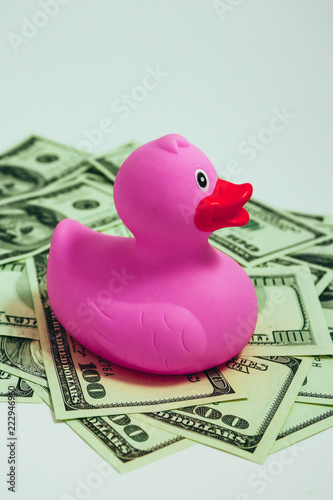 Pink rubber duck is swimming in American dollar, toy business concept. Child expenses, fun.