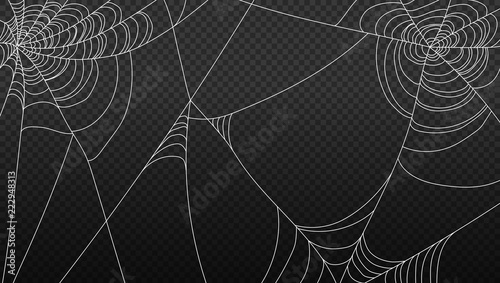 spider web isolated on transparent background vector illustration