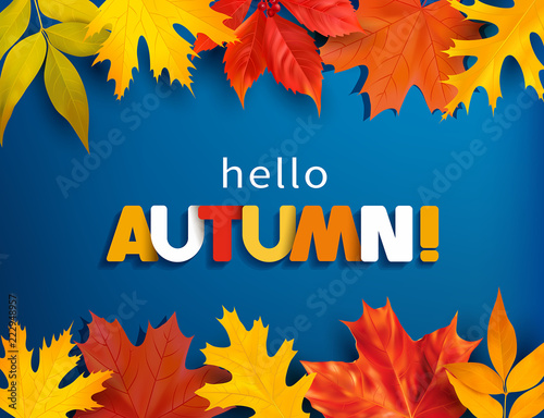 Autumn greeting background with colored leaves border. Vector illustration.