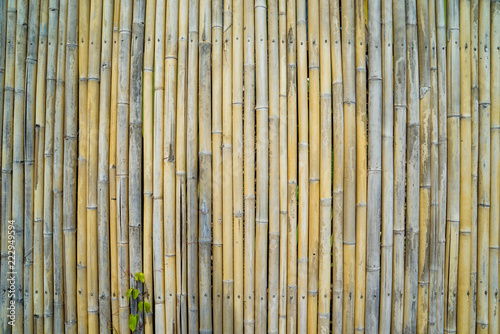 bamboo fence background