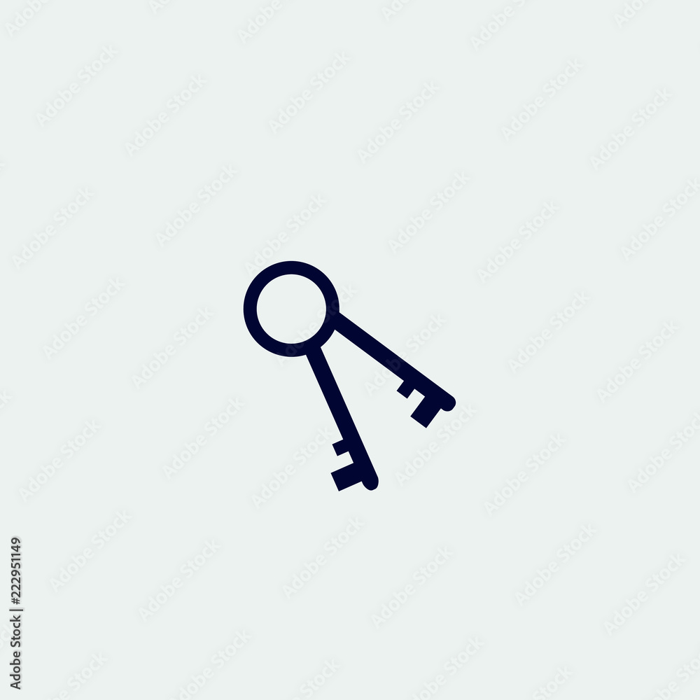 key icon, vector illustration. flat icon