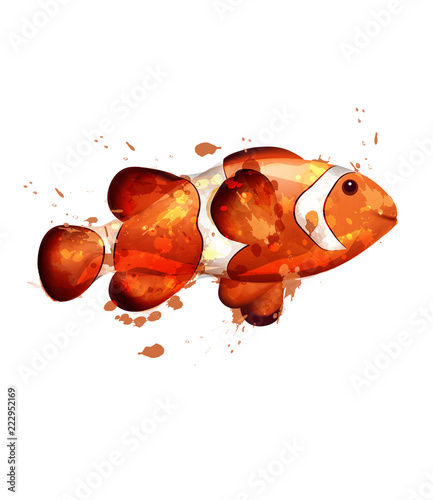 Golden fish watercolor Vector isolated. Small fish on white backgrounds
