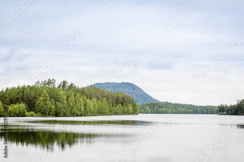 Fototapeta Naklejka Na Ścianę i Meble -  svenska fjällen i bakgrunden en sjö i förgrunden