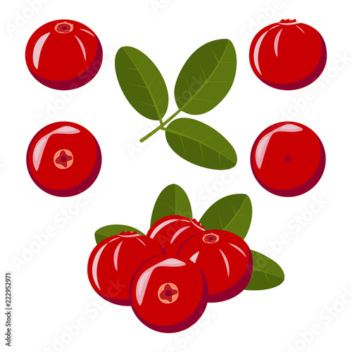 Set of berries of red cranberries with green leaves on a white background
