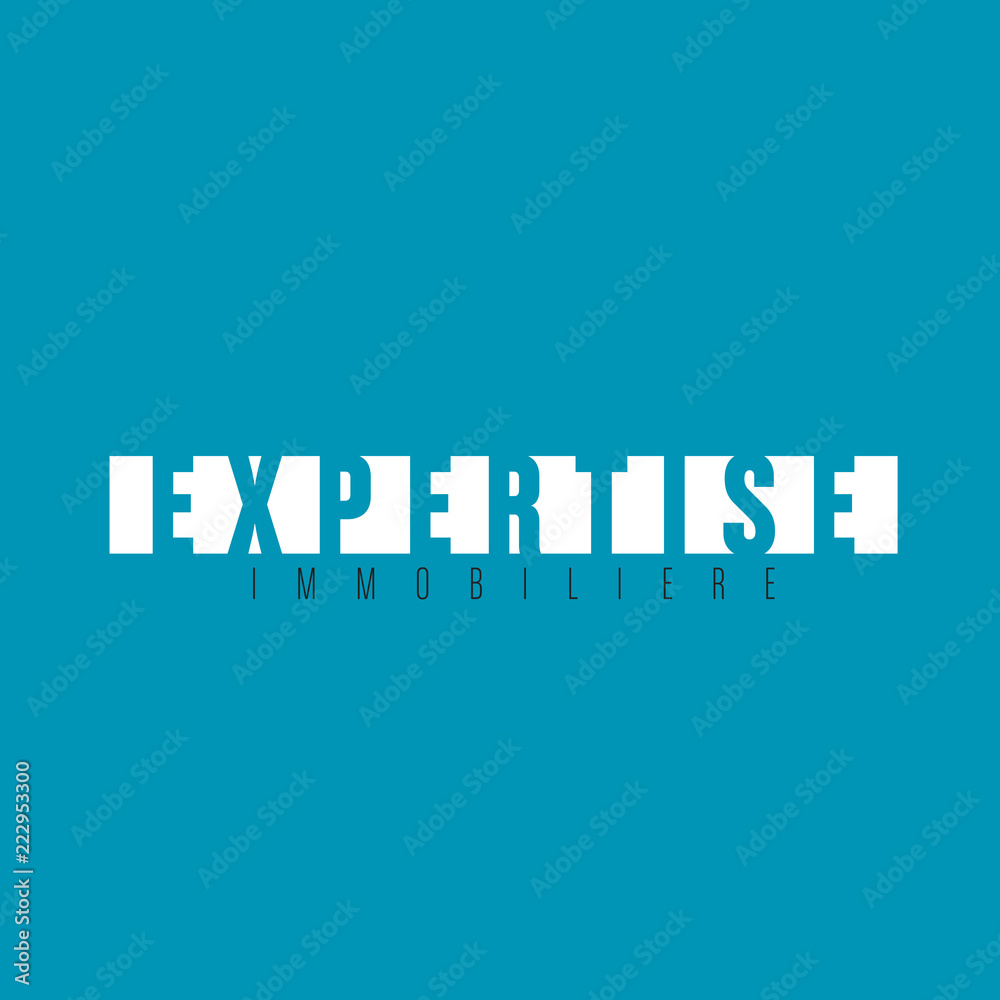 Fototapeta premium expertise immobilière