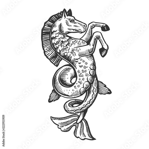 Fantastic fabulous fish horse animal engraving vector illustration. Scratch board style imitation. Black and white hand drawn image.