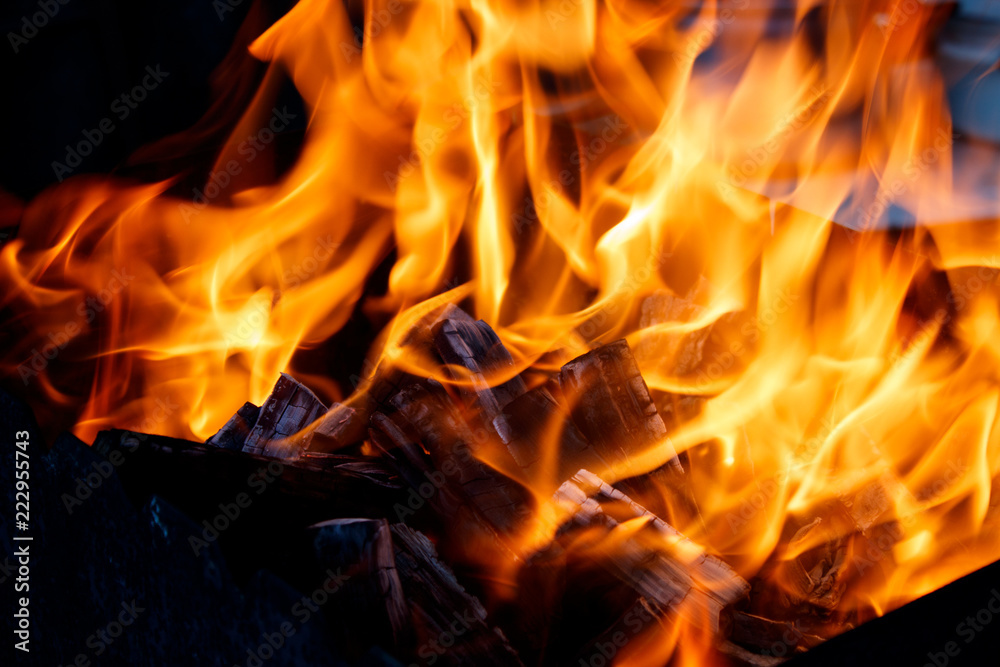 Fire with charcoals. Burning wood. Macro. Fire with charcoals. Burning wood. Macro.