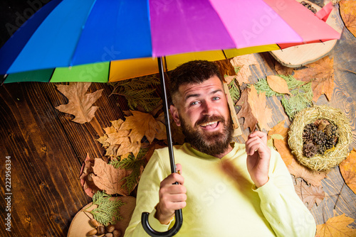 Hipster with beard mustache expect rainy weather hold umbrella enjoy season. Rainy weather forecast concept. Fall atmosphere attributes. Man bearded lay on wooden background with leaves top view photo