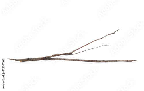 Dry and rotten branch isolated on white background