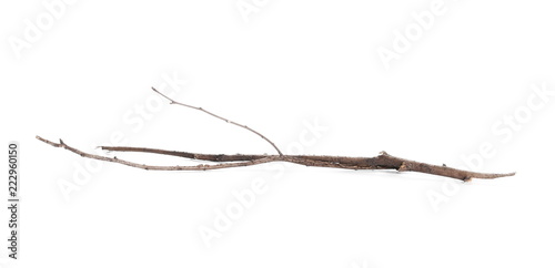 Dry and rotten branch isolated on white background