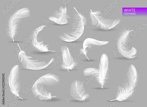 Realistic feathers. White bird falling feather isolated on white background vector collection. Illustration of feather bird, soft white plume