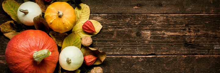 Autumn Harvest and Holiday still life. Happy Thanksgiving Banner. Selection of various pumpkins on dark wooden background. Autumn vegetables and seasonal decorations.