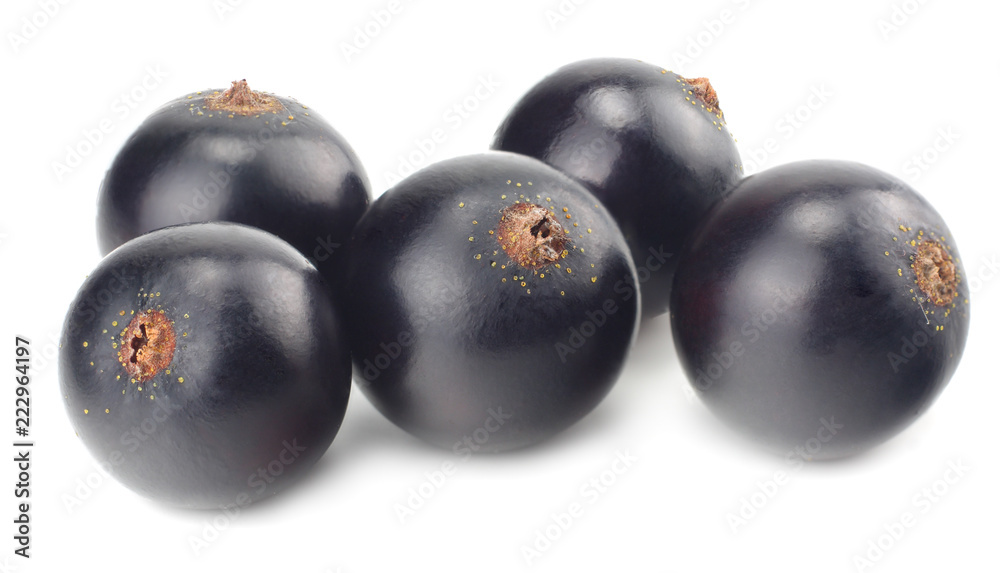 black currant isolated on white background. macro black currant isolated on white background. macro