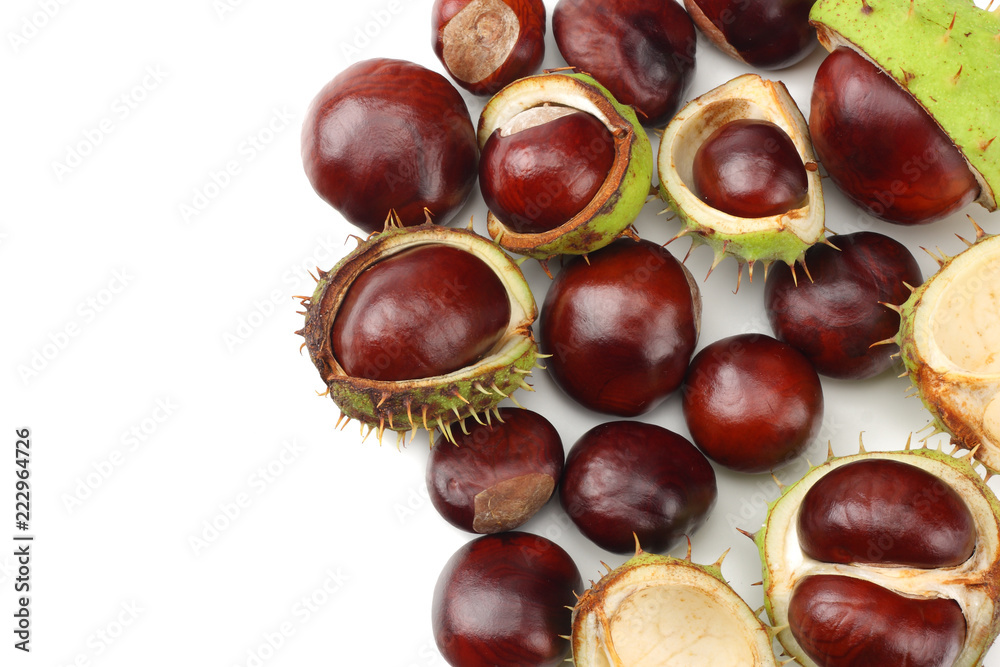 chestnuts isolated on white background. top view chestnuts isolated on white background. top view