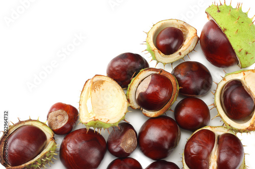 chestnuts isolated on white background. top view