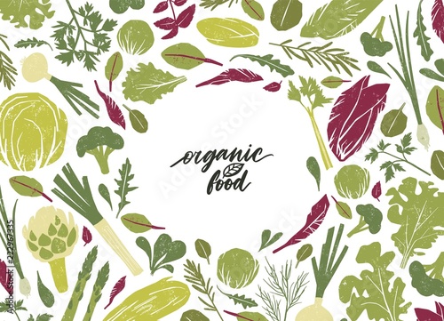 Round frame made of green vegetables, salad leaves and spice herbs on white background. Creative backdrop with circular border consisted of vegan organic food. Colorful flat vector illustration.