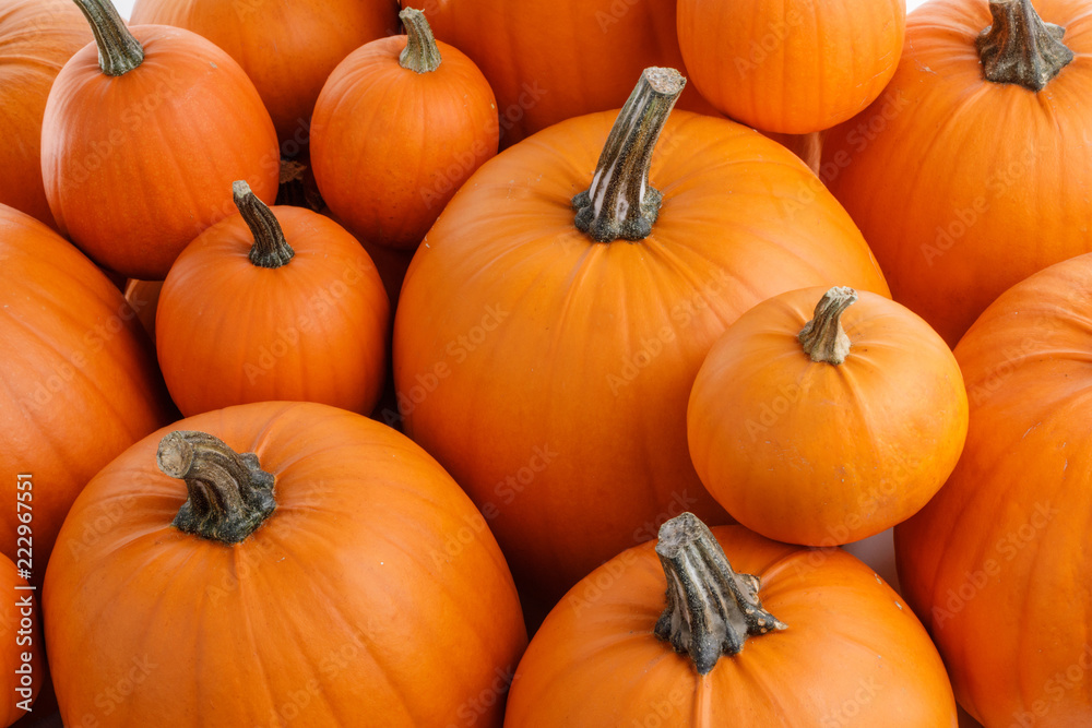 Background of orange pumpkins Background of orange pumpkins