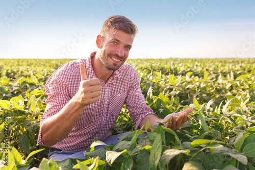 Young farmer in field examining soybean corp. He is thumbs up.