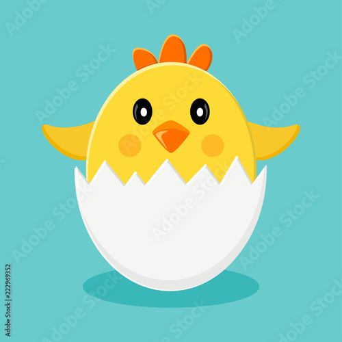 Cute chick in egg shells. Vector illustration