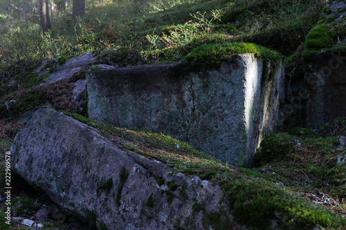 Photography Big rock with moss beside a lake in Oslo, Norway
