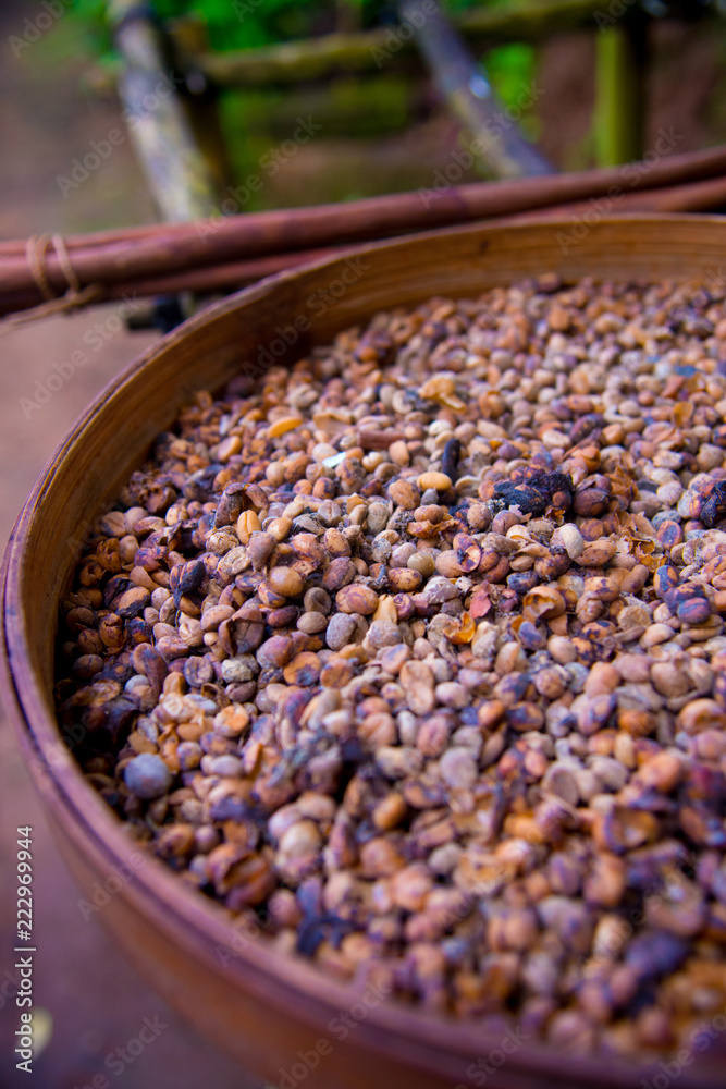 Kopi Luwak is the most expensive coffee in the world, also called as