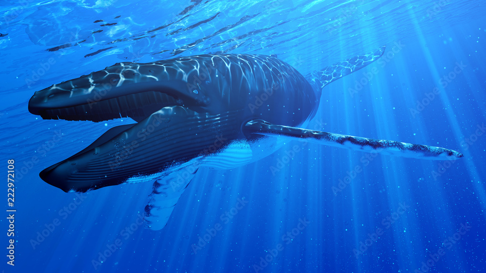 3d rendered illustration of a humpback whale